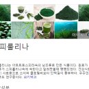 에스앤피유통 | 스피루리나 를 팔고있는 뉴트리에스앤피 ! 항산화, 피부건강, 콜레스테롤은 너에게 맡긴다.