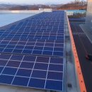 한화큐셀 현대차 공장을 태양광 모듈로 덮는다 태양광기사 이미지