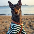 장항농장 이미지