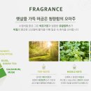 헤어 지지마 - 의정부시 | 헤어 지지마