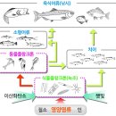 (주)아썸 이미지