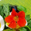 단식농장 이미지