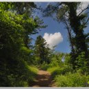 저지오름 이미지