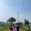 마장 매화둘레길 이미지