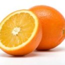 오렌지 이미지