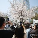 너도나도