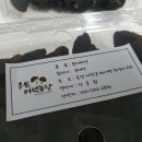흥원농장 네이버블로그