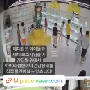 인천고양이분양 테디럽 이미지