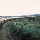 독립운송 이미지