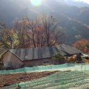 남대리녹색농촌체험마을 이미지