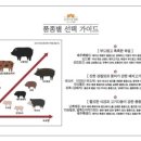 정원카츠 이미지