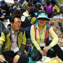 동락초등학교 이미지