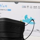 노아덴탈 이미지