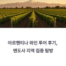 아르헨티나 와인 투어 후기, 멘도사 지역 집중 탐방
