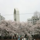 H8162 이미지