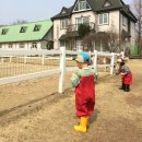 피넛스페이스