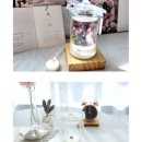 메일리데이 이미지