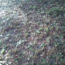 선바위역 6번 출구 이미지