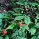 방글농장 이미지