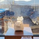 dagwawa (다과와) 이미지