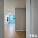 블루마레 이미지