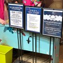 동심의 세계 | 잠실 벨루가 거북이 보러 동심의 세계 아쿠아리움 방문! 네이버 페이 할인 내돈내산 방문후기