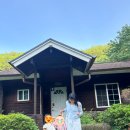 용문산장 펜션 | 양평 펜션 숙소 추천｜계곡 바로 앞 힐링 숙소 “계곡의아침” 숙박후기