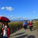 순천만 풍경 이미지