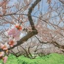 화전리경로당 이미지