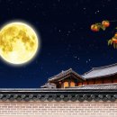 (주)데마시안