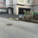 짱아PC방 이미지