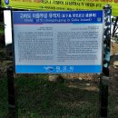 목동2농로 | 목포 고하도 용오름 둘레숲길(이충무공유적지~용머리~이충무공유적지)