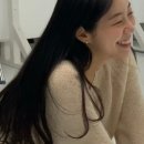 피그니트 이미지