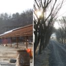 닭사랑농장 이미지