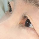 망우역 3번 출구 | 엄마랑 동반 시술로 다녀온 리브영 속눈썹펌 찐후기｜중랑구 속눈썹 관리｜동반시술 가능 속눈썹펌