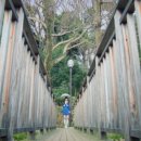 리노프레쉬 이미지