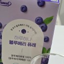 퍼니트 블루베리퓨레 후기｜유기농블루베리즙을 간편하게 즐기는 블루베리스틱