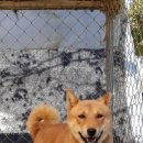 자담솔농원 이미지