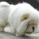 두솔농장 이미지