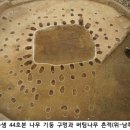 나무와 문화연구소