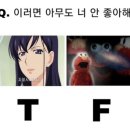 MBTI T와 F의 차이 한 번에 보기 이미지