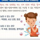 백혈병 전조증상 백혈구 수치 혈소판 혈액 염증 수치 이미지