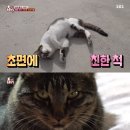 한절농장 이미지