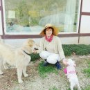 소리야네집 이미지