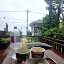 핑스애견펜션 이미지