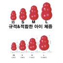 콩토이 후기(노즈워크 장난감)