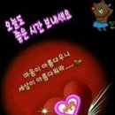 아름다워라 Daum카페