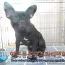 송파대로28길 이미지