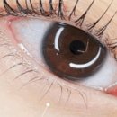 펜타힐즈2로 이미지