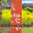미쓰홍당무하우스